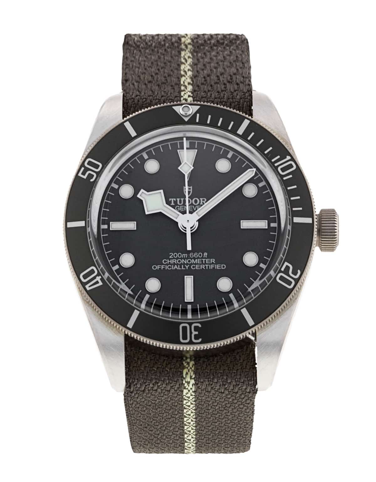 Tudor Black Bay M79010SG-0002